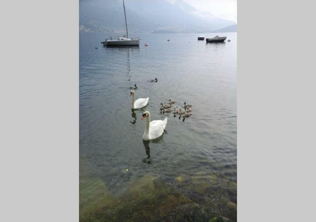Appartamento Vista Lago - Mary Lezzeno Exteriör bild